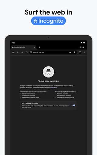 Actualizare Google Chrome - Captură de ecran Android 29
