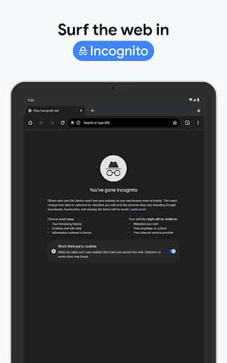 Actualizare Google Chrome - Captură de ecran Android 22