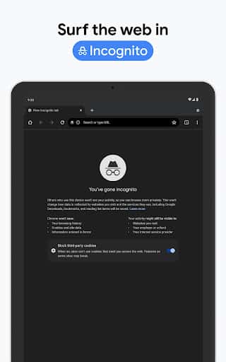 Actualizare Google Chrome - Captură de ecran Android 14